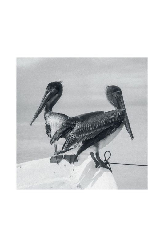 Blink And You Miss It LP