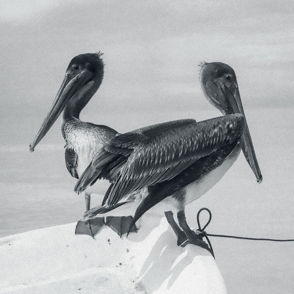 Blink And You Miss It LP