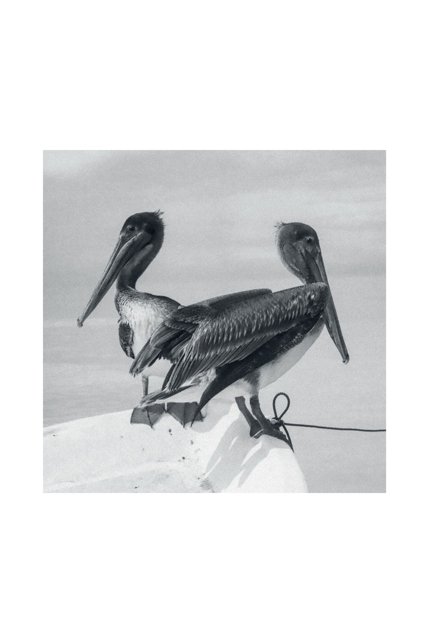 Blink And You Miss It LP