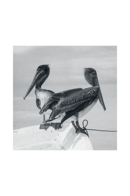 Blink And You Miss It LP