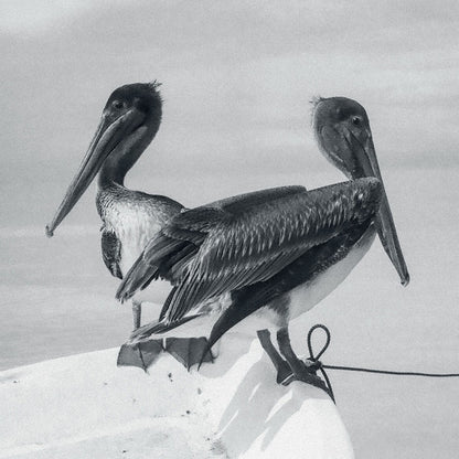 Blink And You Miss It LP